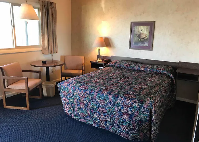 Motel Paintbrush